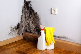 Best Mold Remediation for Healthcare Facilities  in Moundridge, KS